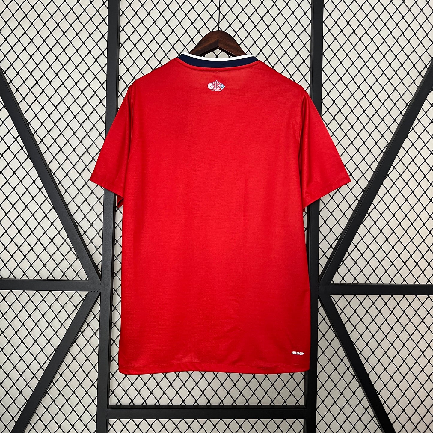 Lille Principal 2024/25