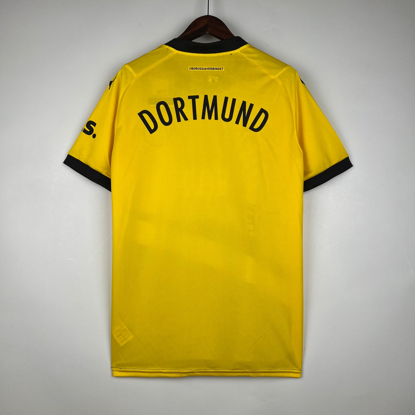 Dortmund Principal 2023/24