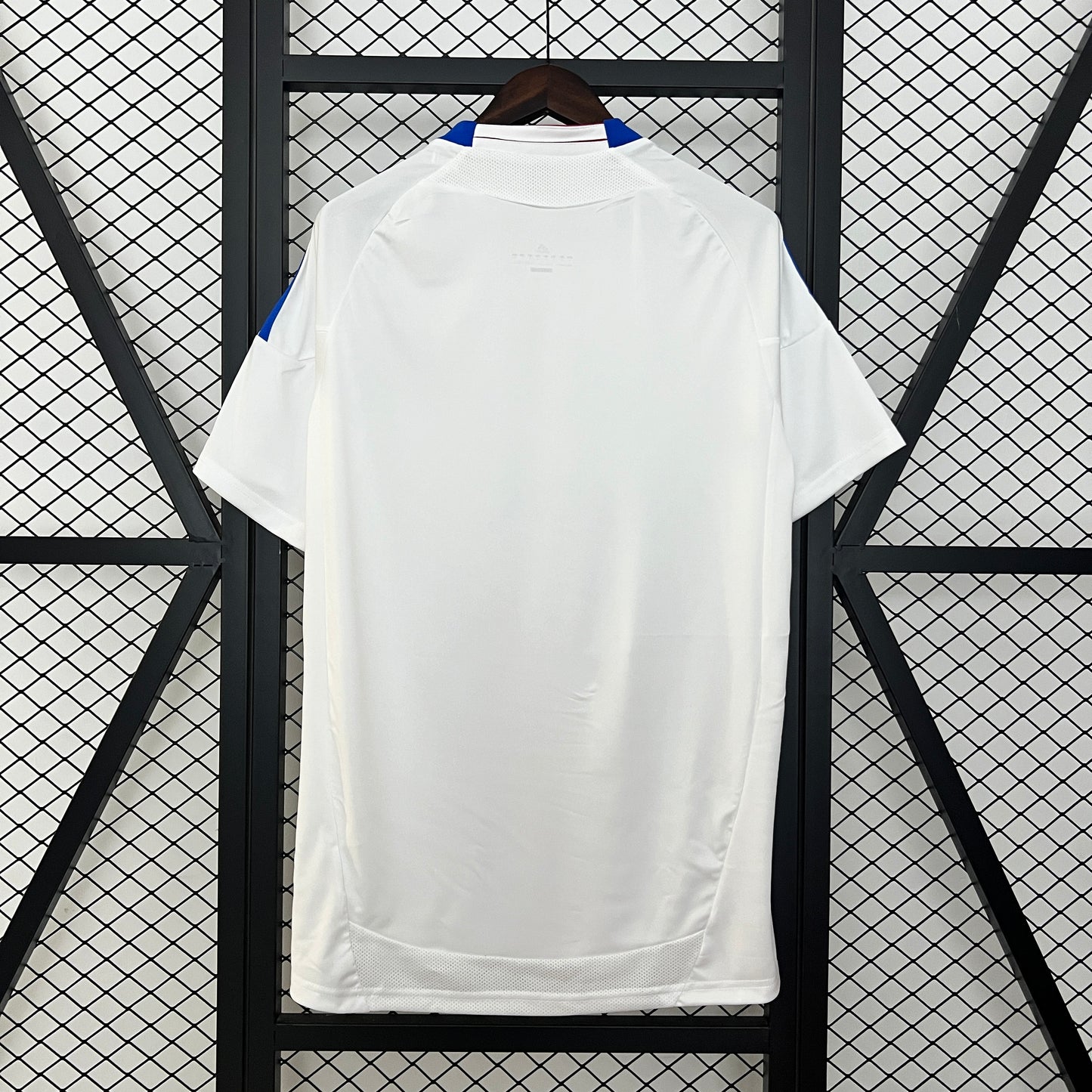 Lyon Principal 2010/11